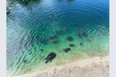 266 Calusa Boulevard, Destin, FL 32541 - Photo 51