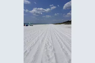 125 Seabreeze Trail, Inlet Beach, FL 32461 - Photo 53