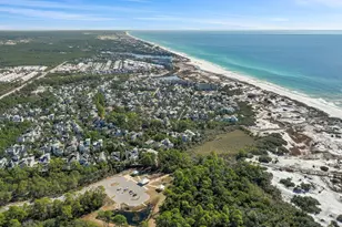 64 W Pine Lands Loop, Inlet Beach, FL 32461 - Photo 63