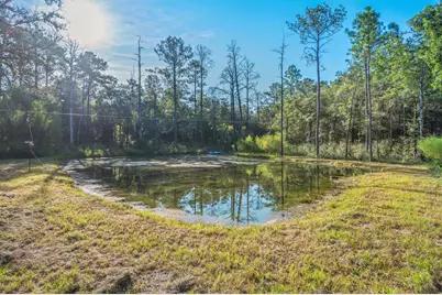 5220 Stallion Drive, Crestview, FL 32539 - Photo 3