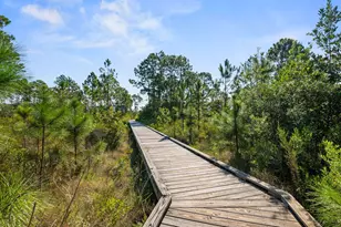 146 Crossing Ln, Santa Rosa Beach, FL 32459 - Photo 11