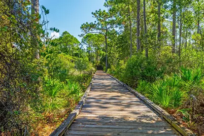 856 Sandgrass Boulevard, Santa Rosa Beach, FL 32459 - Photo 93