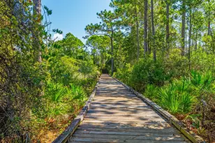856 Sandgrass Boulevard, Santa Rosa Beach, FL 32459 - Photo 93
