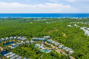 856 Sandgrass Boulevard, Santa Rosa Beach, FL 32459 - Photo 65