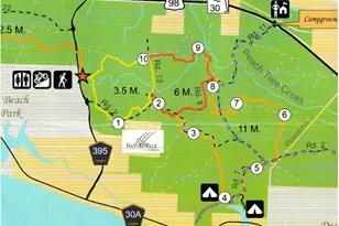 856 Sandgrass Boulevard, Santa Rosa Beach, FL 32459 - Photo 95