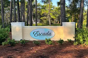 204 Via Largo, Santa Rosa Beach, FL 32459 - Photo 5