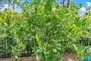 61 Sweet Breeze Dr, Santa Rosa Beach, FL 32459 - Photo 63