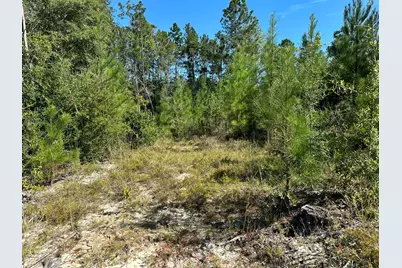 Parcel B Millside Road #<, Laurel Hill, FL 32567 - Photo 11