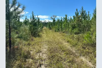 Parcel B Millside Road #<, Laurel Hill, FL 32567 - Photo 1