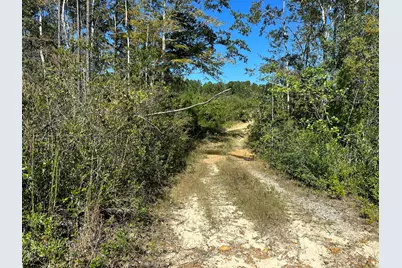 Parcel B Millside Road #<, Laurel Hill, FL 32567 - Photo 3