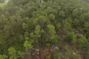 X NW Marianna Lake Ave NW, Fountain, FL 32438 - Photo 5