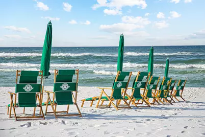 21 Onyx Cove, Miramar Beach, FL 32550 - Photo 49