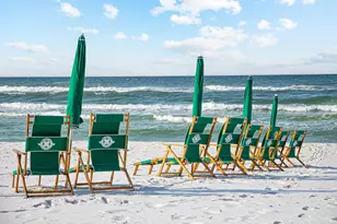 21 Onyx Cove, Miramar Beach, FL 32550 - Photo 49