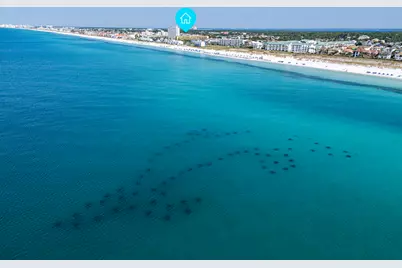 21 Onyx Cove, Miramar Beach, FL 32550 - Photo 53