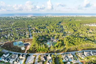 200 Green Heron Street #Lot 36, Watersound, FL 32461 - Photo 9