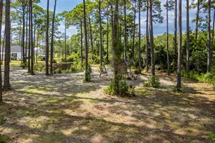 523 Woodland Bayou Dr, Santa Rosa Beach, FL 32459 - Photo 71