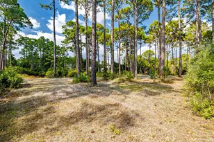 523 Woodland Bayou Dr, Santa Rosa Beach, FL 32459 - Photo 75