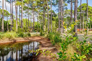 523 Woodland Bayou Dr, Santa Rosa Beach, FL 32459 - Photo 73