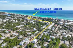 53 Porpoise St, Santa Rosa Beach, FL 32459 - Photo 3