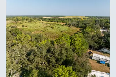 22 Acres W St Highway 20 W, Freeport, FL 32439 - Photo 13