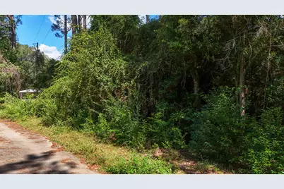 Lot 6 Lake Court, Defuniak Springs, FL 32433 - Photo 5