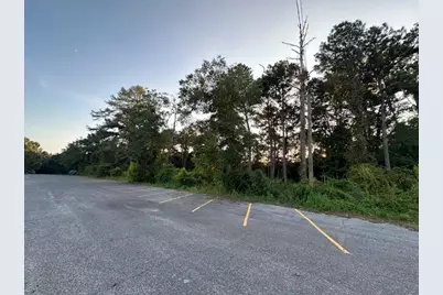 8102 5th Street, Laurel Hill, FL 32567 - Photo 3