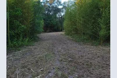 253 Argyle Church Road, Defuniak Springs, FL 32433 - Photo 5