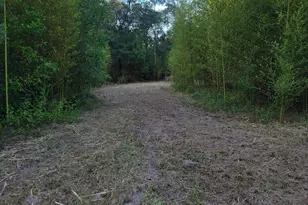 253 Argyle Church Rd, Defuniak Springs, FL 32433 - Photo 5