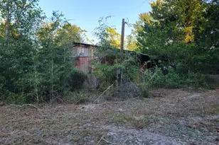 253 Argyle Church Rd, Defuniak Springs, FL 32433 - Photo 9