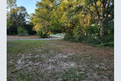 253 Argyle Church Road, Defuniak Springs, FL 32433 - Photo 3