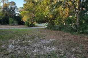 253 Argyle Church Rd, Defuniak Springs, FL 32433 - Photo 3