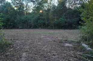 253 Argyle Church Rd, Defuniak Springs, FL 32433 - Photo 7