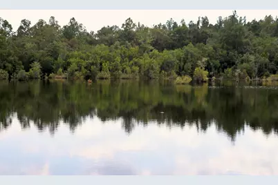 261 Wilkerson Road, Defuniak Springs, FL 32433 - Photo 3