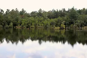 261 Wilkerson Rd, Defuniak Springs, FL 32433 - Photo 3