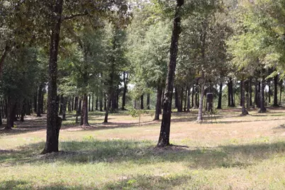 261 Wilkerson Road, Defuniak Springs, FL 32433 - Photo 11