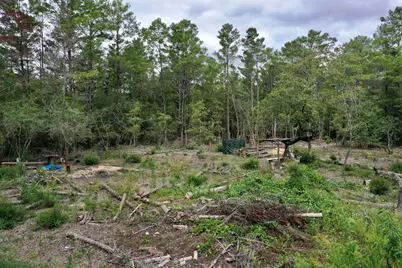 2 W Bluebottle Court W, Defuniak Springs, FL 32433 - Photo 3