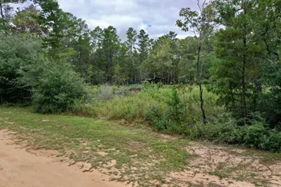 2 W Bluebottle Court W, Defuniak Springs, FL 32433 - Photo 9