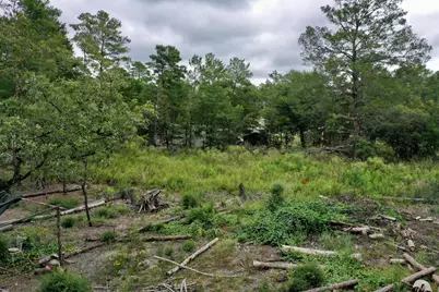 2 W Bluebottle Court W, Defuniak Springs, FL 32433 - Photo 5