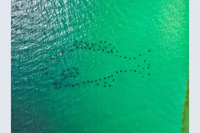 79 Beach View Drive, Inlet Beach, FL 32461 - Photo 39