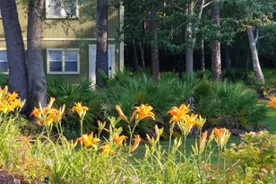 2760 Dove Haven Ln, Navarre, FL 32566 - Photo 49