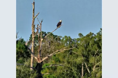 2760 Dove Haven Lane, Navarre, FL 32566 - Photo 51