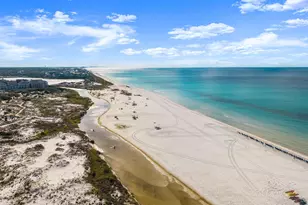 107 Golfridge Dr, Inlet Beach, FL 32461 - Photo 91