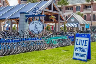 212 E Seacrest Beach Blvd E, Inlet Beach, FL 32461 - Photo 39