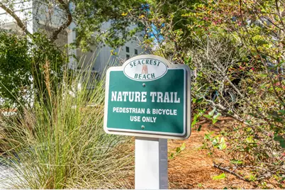 212 E Seacrest Beach Boulevard E, Inlet Beach, FL 32461 - Photo 37