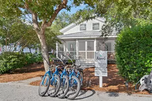 335 San Juan Ave, Santa Rosa Beach, FL 32459 - Photo 33