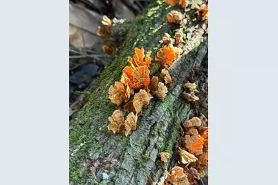 444 Tall Oaks Road, Defuniak Springs, FL 32435 - Photo 17