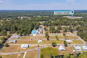 523 Landing Ave, Florala, AL 36442 - Photo 19