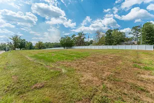 523 Landing Ave, Florala, AL 36442 - Photo 5