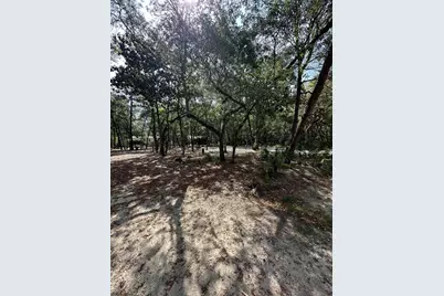 Xx Turquoise Beach Drive, Santa Rosa Beach, FL 32459 - Photo 5