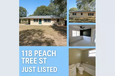 118 Peach Tree Street, Paxton, FL 32538 - Photo 33